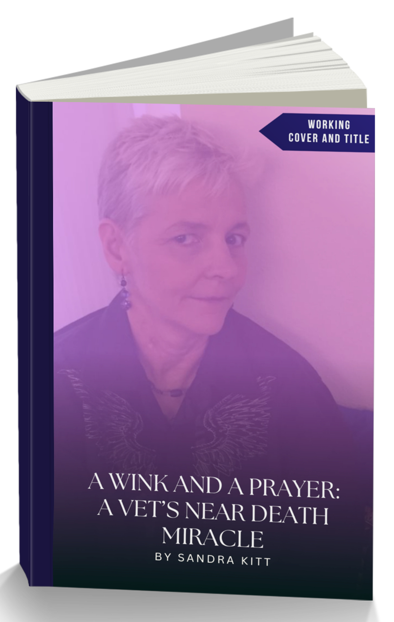 A Wink and a Prayer 3D Book Cover